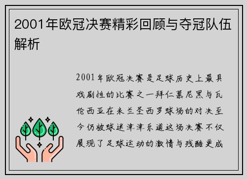 2001年欧冠决赛精彩回顾与夺冠队伍解析